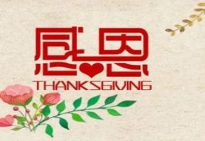 中设智能-感恩节活动