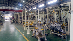 公司年度销售额突破6000万元